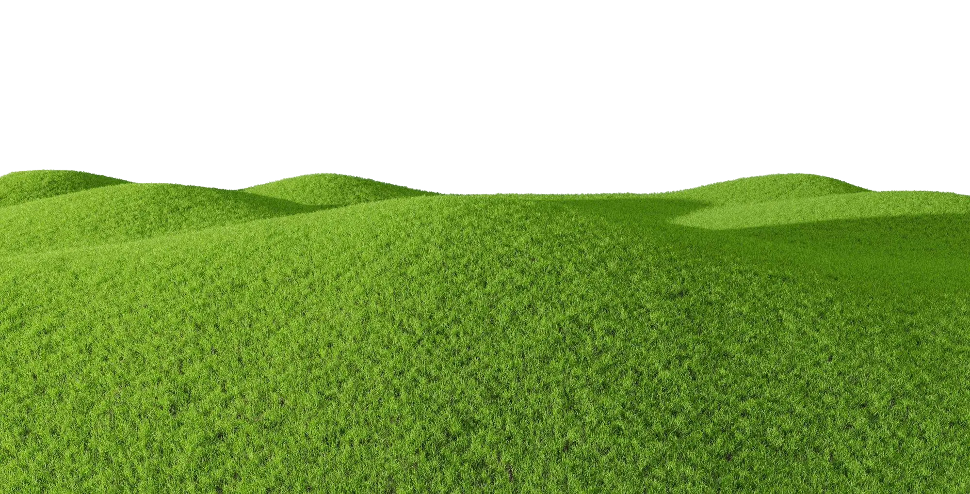Grass background